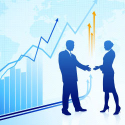 Strategic Partner